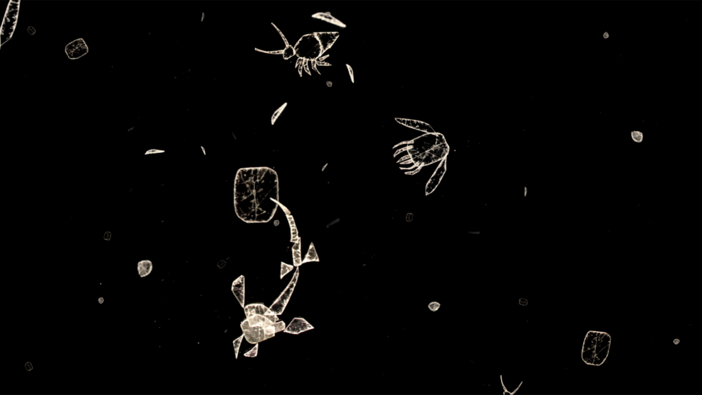 Workshop Activities Animate Materials